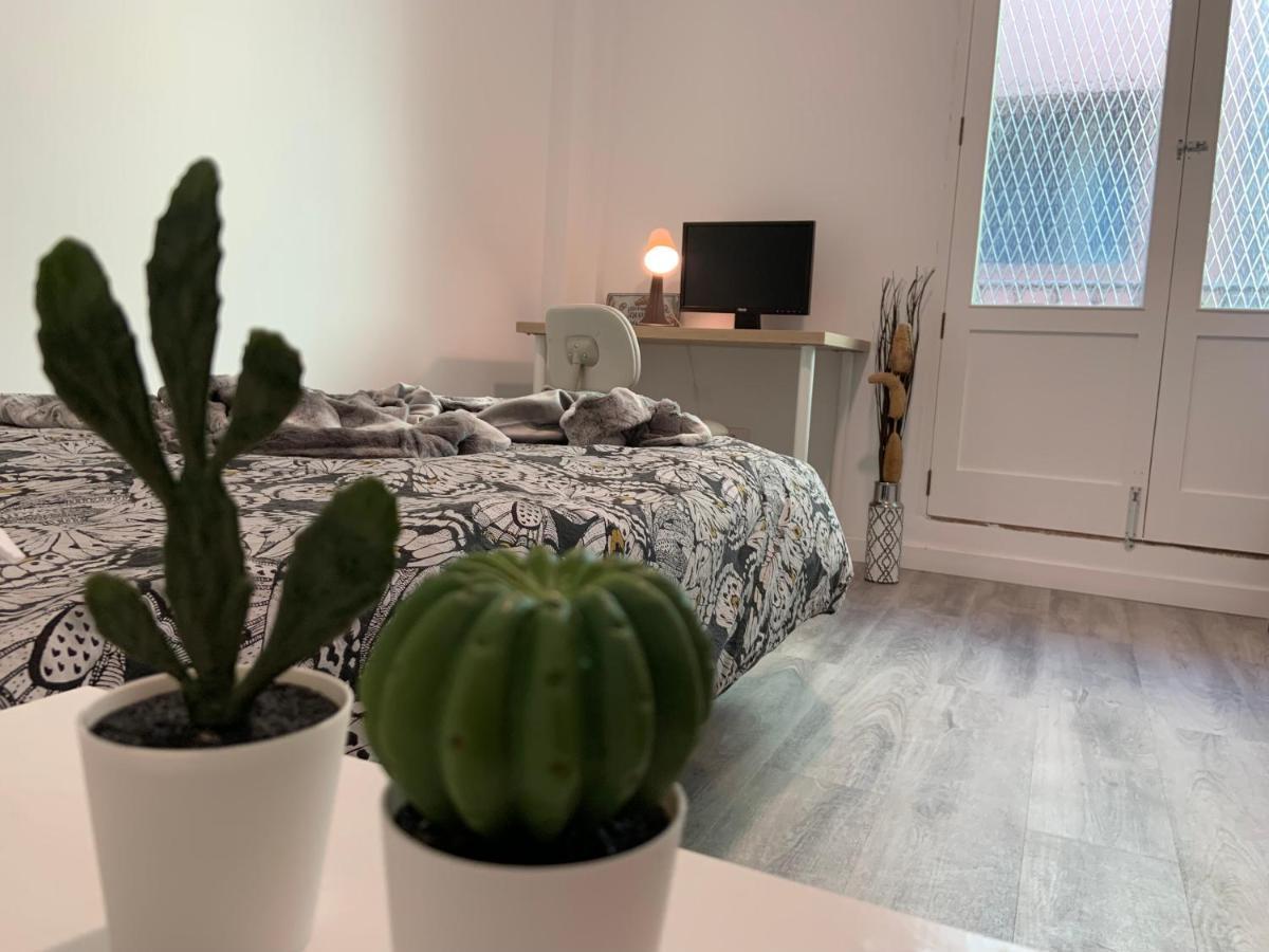 大加那利岛拉斯帕尔马斯 Coliving El Toro酒店 外观 照片