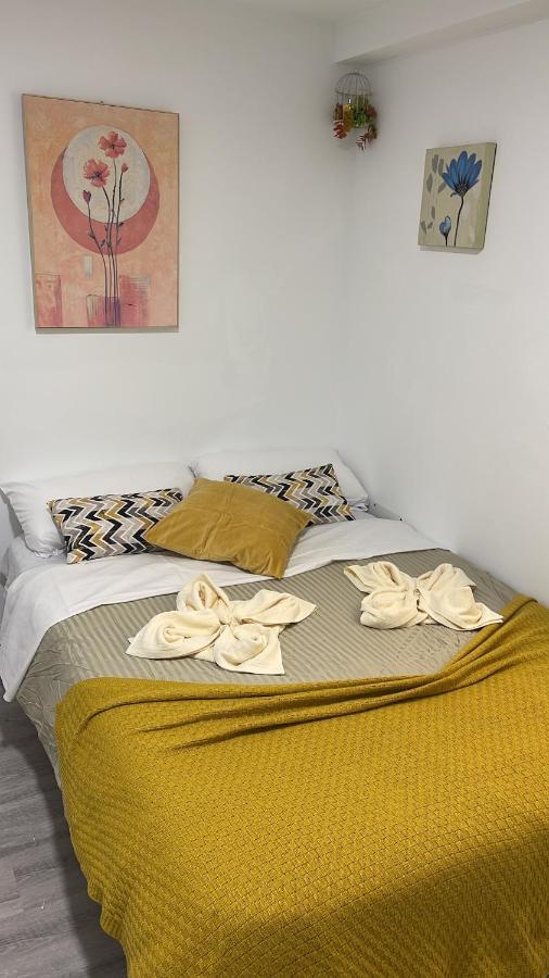 大加那利岛拉斯帕尔马斯 Coliving El Toro酒店 外观 照片